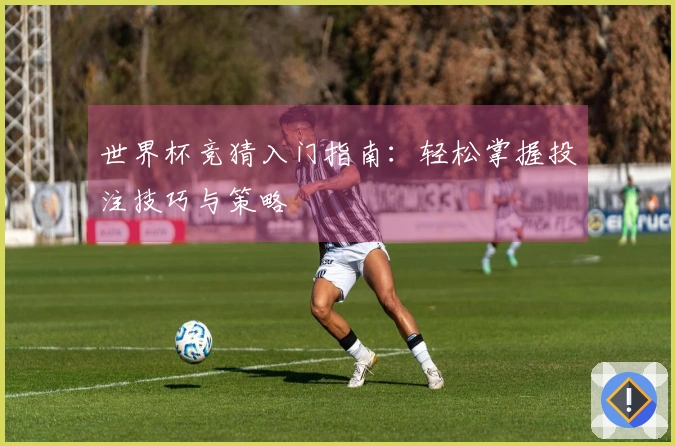 世界杯竞猜入门指南：轻松掌握投注技巧与策略