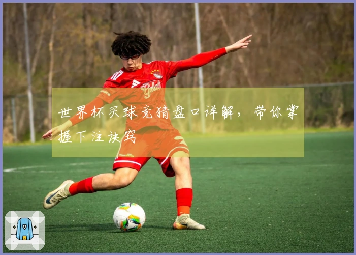 世界杯买球竞猜盘口详解，带你掌握下注诀窍