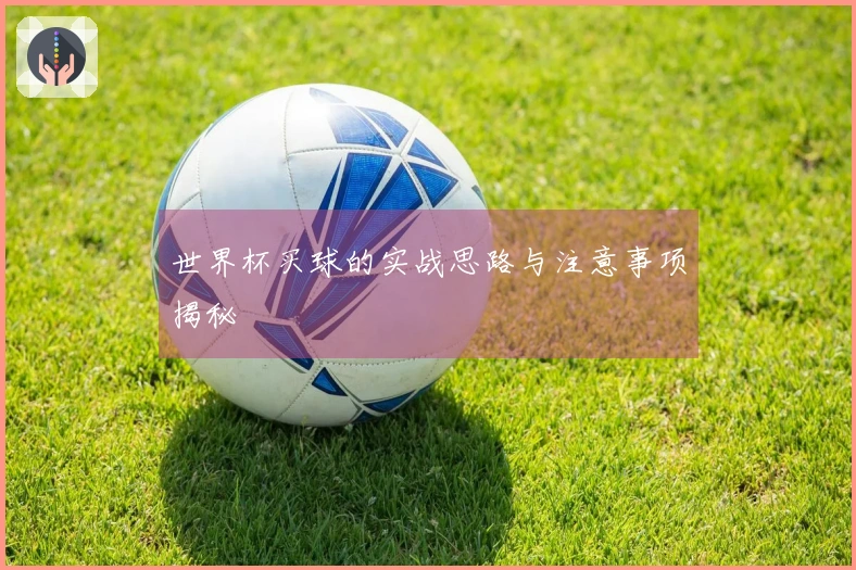 世界杯买球的实战思路与注意事项揭秘