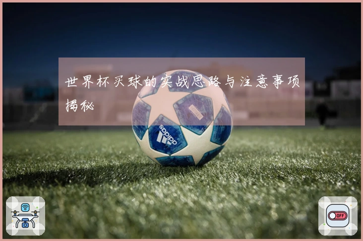 世界杯买球的实战思路与注意事项揭秘