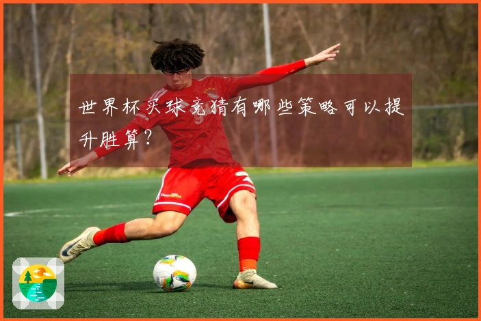 世界杯买球竞猜有哪些策略可以提升胜算？