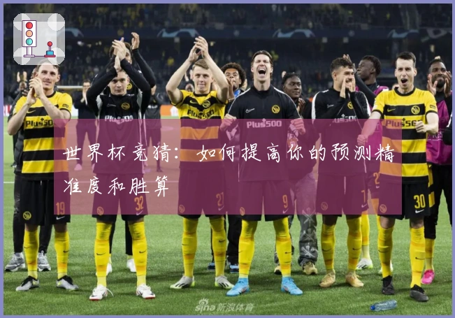 世界杯竞猜：如何提高你的预测精准度和胜算