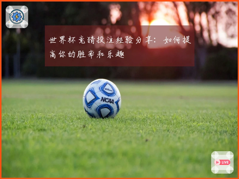 世界杯竞猜投注经验分享：如何提高你的胜率和乐趣
