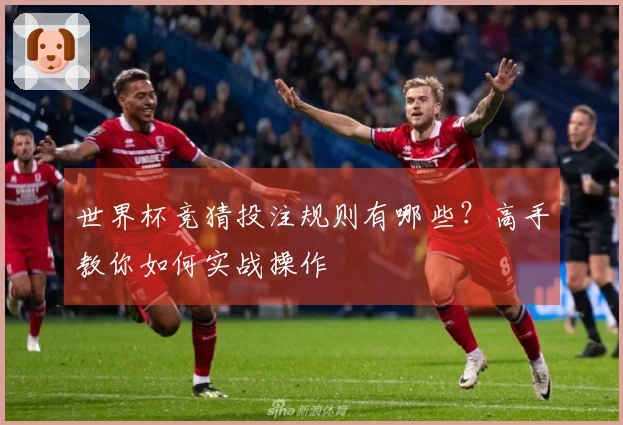 世界杯竞猜投注规则有哪些？高手教你如何实战操作