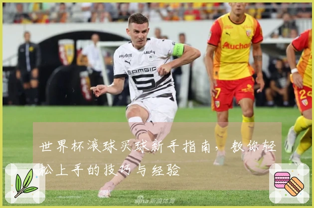 世界杯滚球买球新手指南，教你轻松上手的技巧与经验