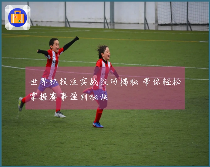 世界杯投注实战技巧揭秘 带你轻松掌握赛事盈利秘诀