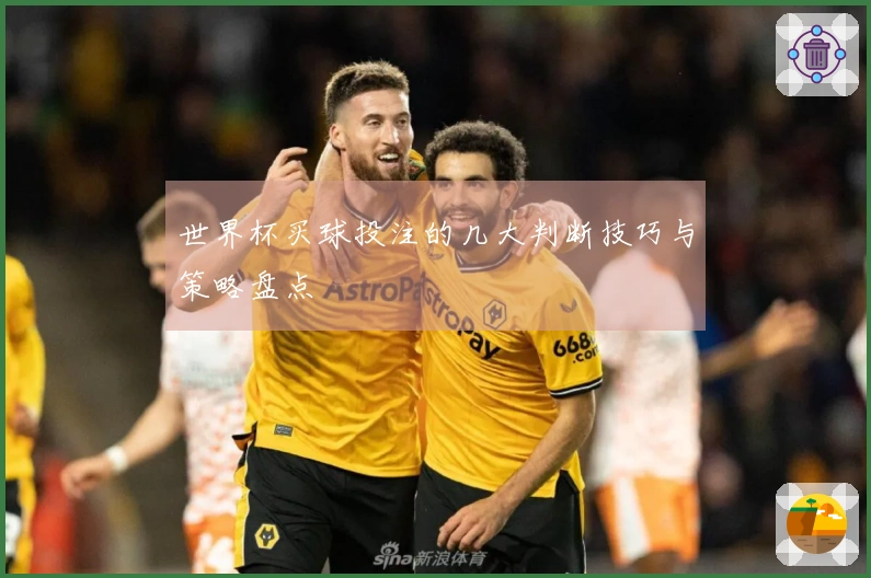 世界杯买球投注的几大判断技巧与策略盘点