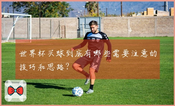 世界杯买球到底有哪些需要注意的技巧和思路？